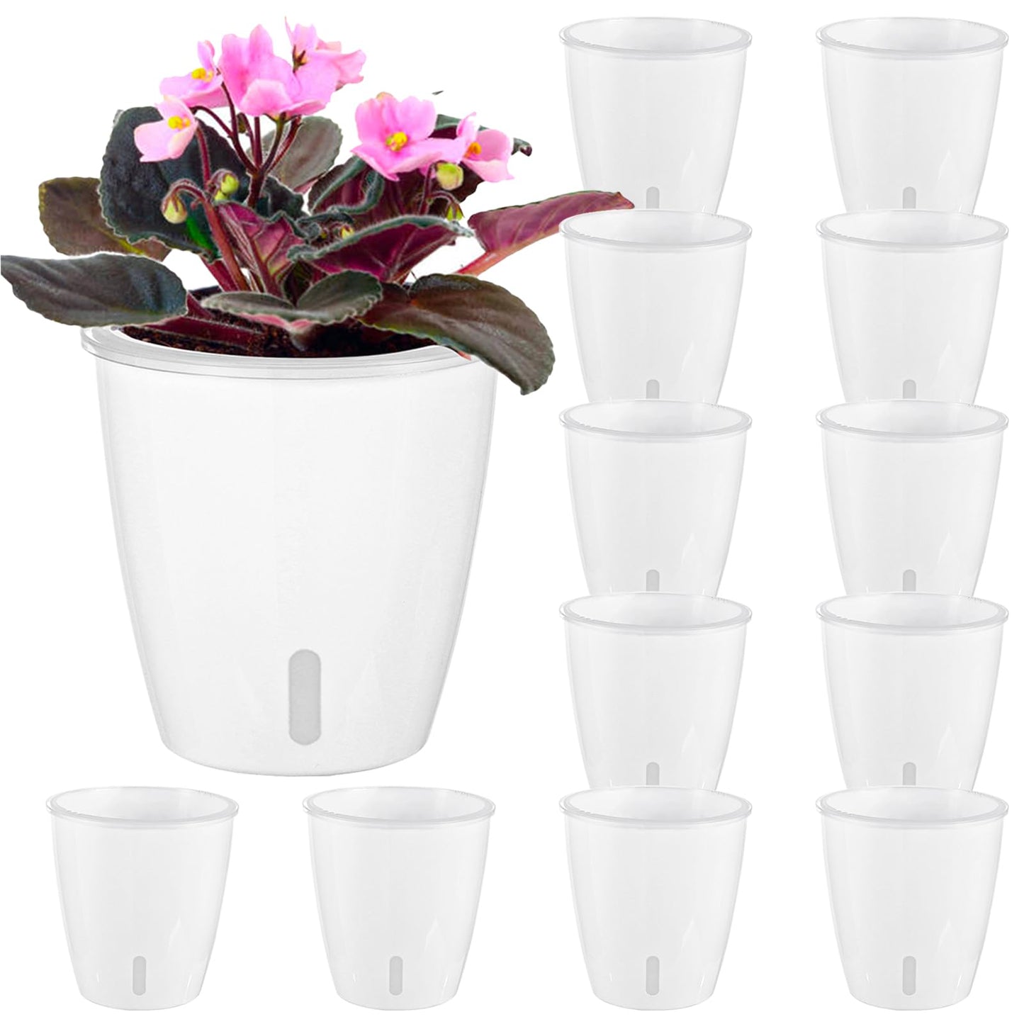 KvyusFlourish Self-Watering Pots for Indoor Plants, 12-Pack 5'' Self Watering Planter with Drainage Holes, Small African Violet Pots with Water Indicator, Clear Wick Pot, White