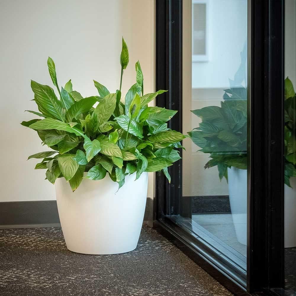 Greenline Manufacturing Memphis 15" Round Indoor Floor Planter Pot – Lightweight & Durable Plastic, Modern Design, Made in USA, Recyclable Large Plant Container for Home & Office Décor (Black)