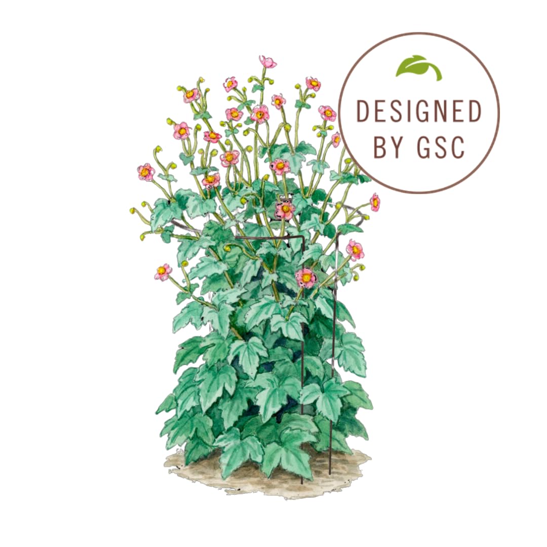 Gardener's Supply Company Jardin Half Round Metal Garden Plant Stakes | Sturdy Powder Coated Metal Outdoor Garden Plant Support Ring Border for Tomatoes, Flowers & Other Plants | 18" x 35" - Set of 2