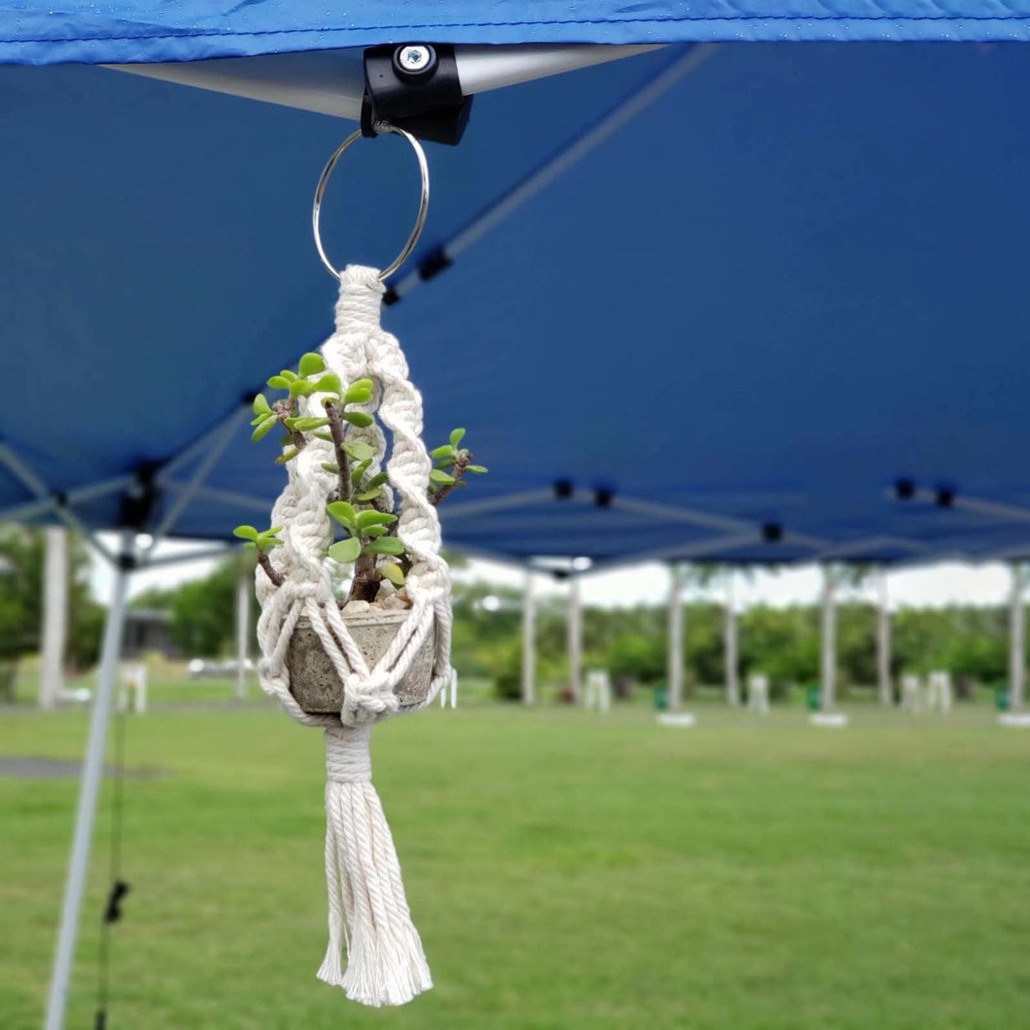 Macrame Plant Hanger 3 Pack Mini Hanging Planter Holder 10.5 Inch Indoor and Outdoor Hanging Planter Rope Boho Handmade Plant Cotton Rope with Beaded, Tassel and 3 Hooks for Home Balcony Decor, Ivory