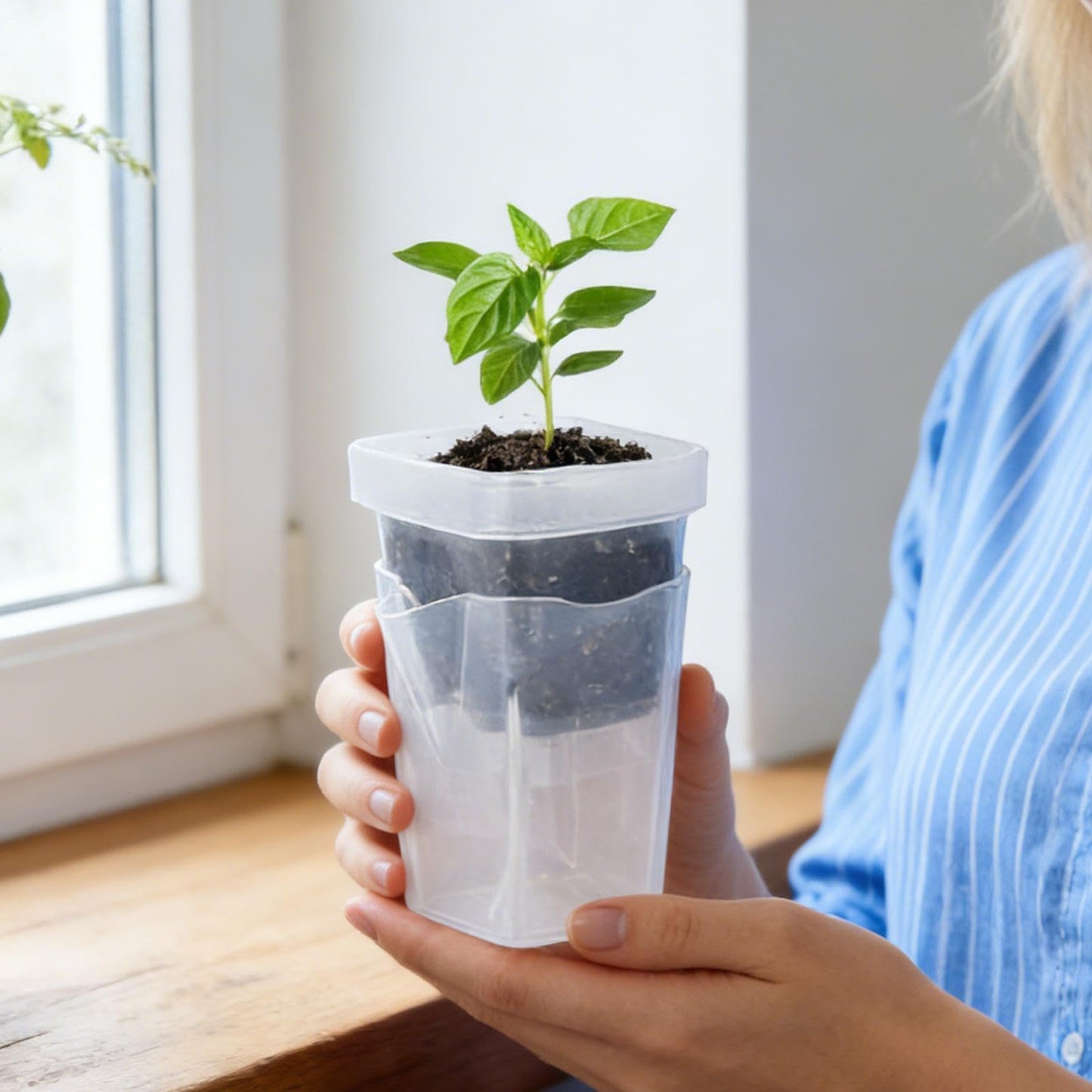 Self Watering Pots, 12 Pieces Clear Indoor Planter, 2 Inch Nursery Pots with Humidity Dome, Adjustable Vent and 150ml Reservoir for Cuttings, Balcony
