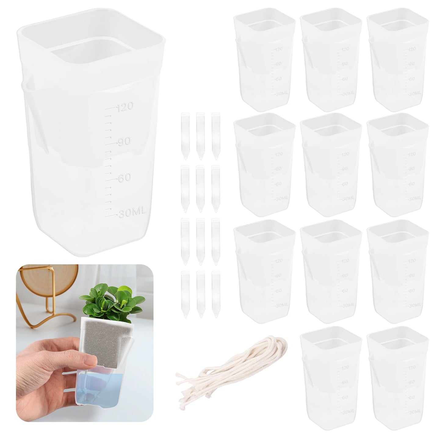 Fizocosisto 12Pcs Self Watering Pots with Transparent Reservoir,2/2.5Inch Plastic Flower Pots with Drainage Holes Indoor Plant Container for Herbs and House Plant(Transparent color-12-2 inches)