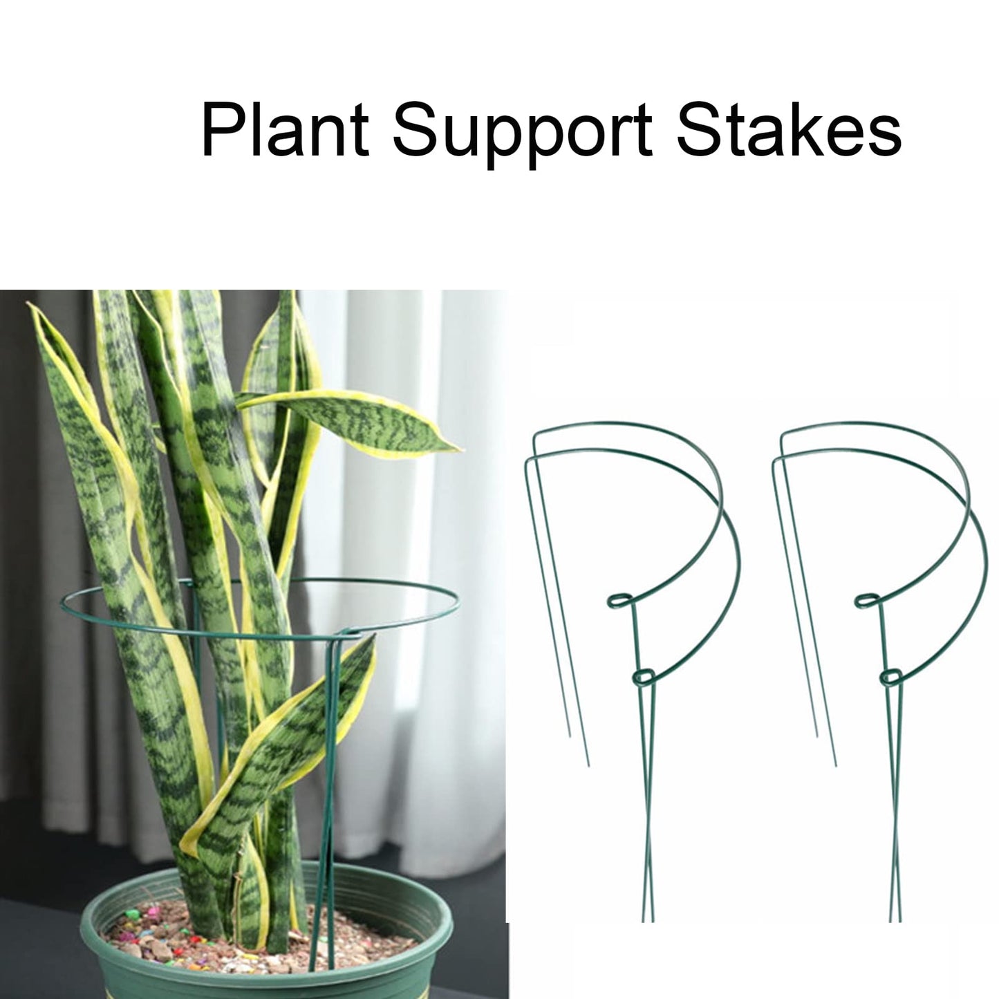 Plant Support Stakes,10Pack Metal Garden Plant Stake,Green Plant Support Ring Cage for Tomato,Rose,Flowers (10)