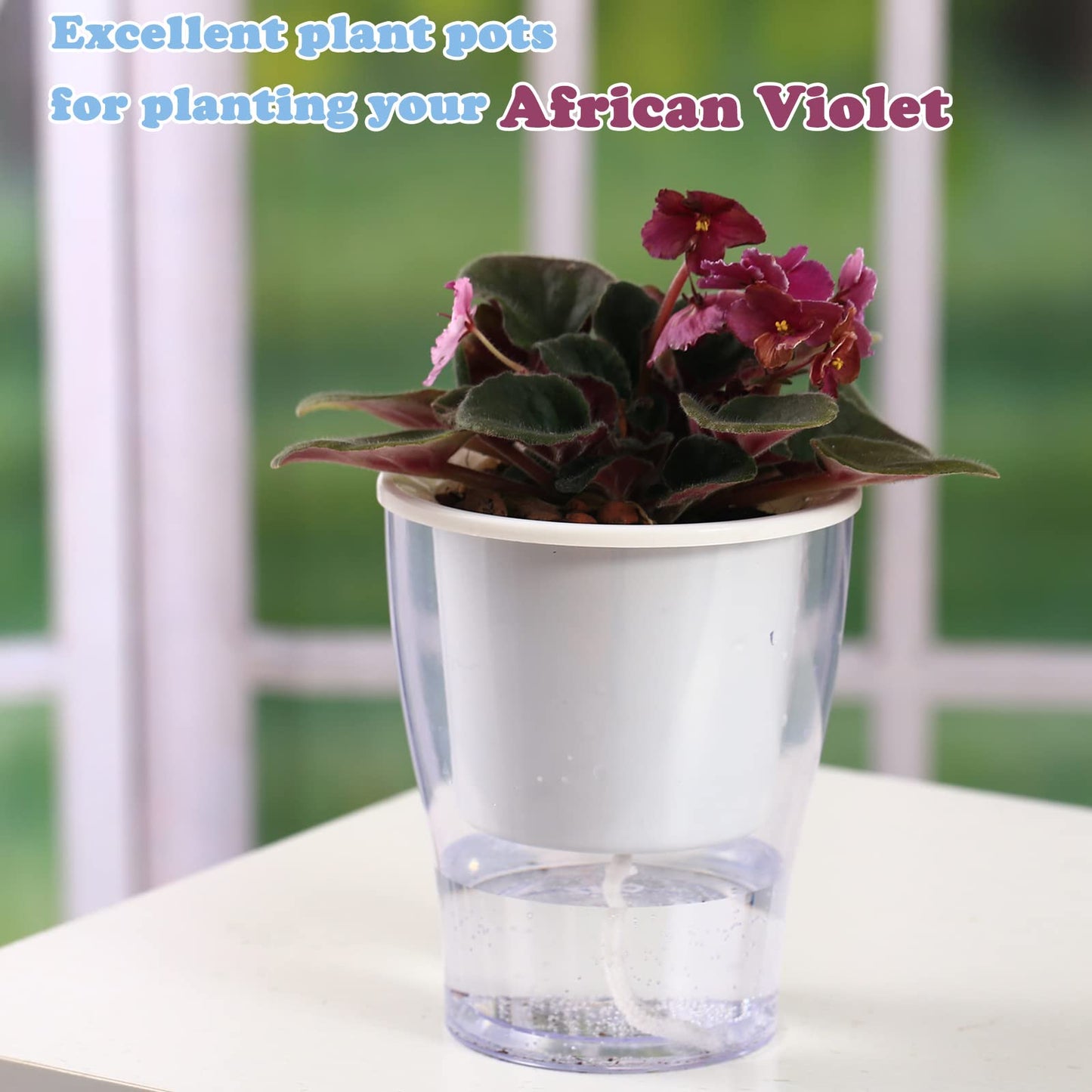DEELF OUTLET 8-Pack 5.1 Inches Clear Self-Watering Planters Medium African Violet Pots Plastic Wick Flower Plant Pots for Indoor Plants, Spider Plant, Orchid Pot, Clear and White