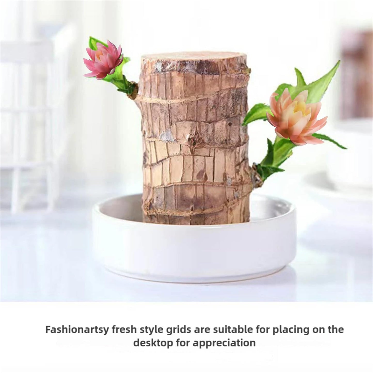 Brazilian Lucky Wood Kit with Monk, Grow Your Own Luck,Easy to Maintain Mini Brazil Woods for Indoor/Outdoor, Bedroom, Kitchen, Office Desk, Garden and Other Decorations (C)