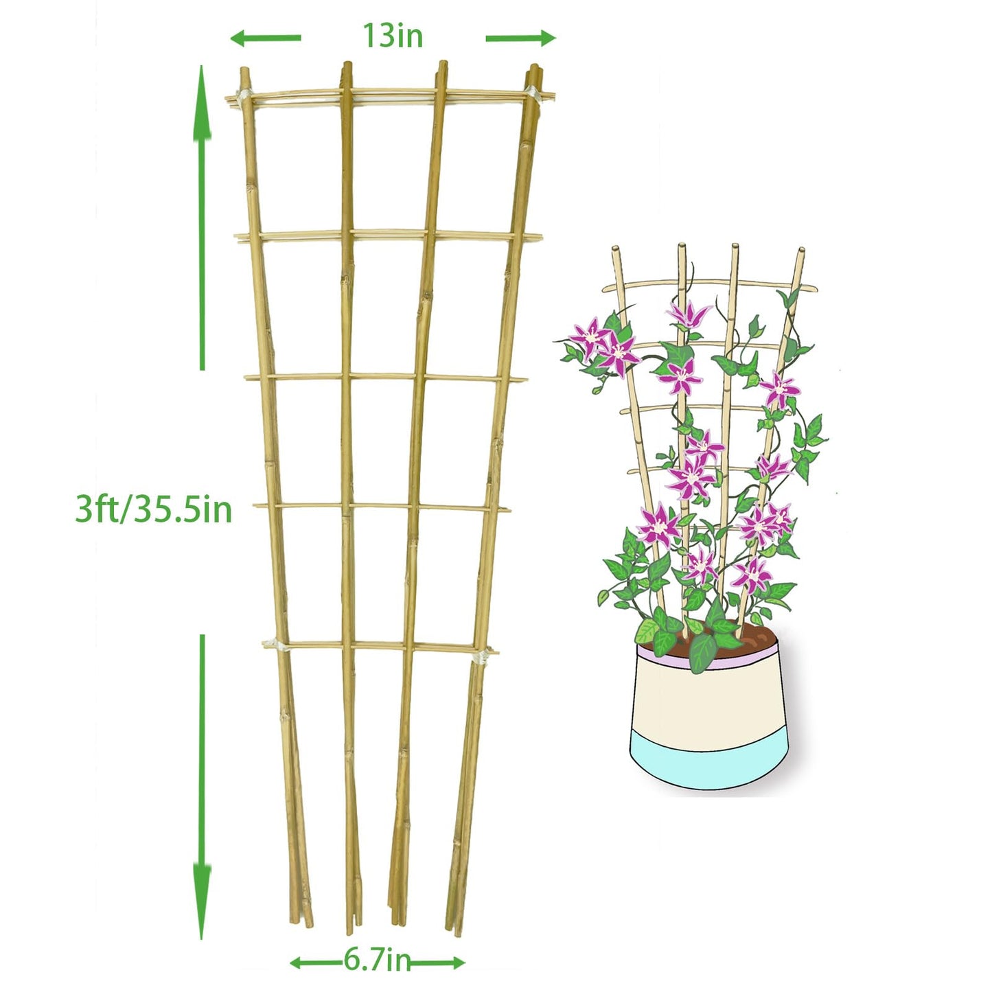 Natural Bamboo Trellis, 3Feet,3Pack,Fan-Shaped Plant Support Trellis for Outdoor and Indoor Potted Climbing Plants,Vegetables, Cucumber, Tomato, Hoya,