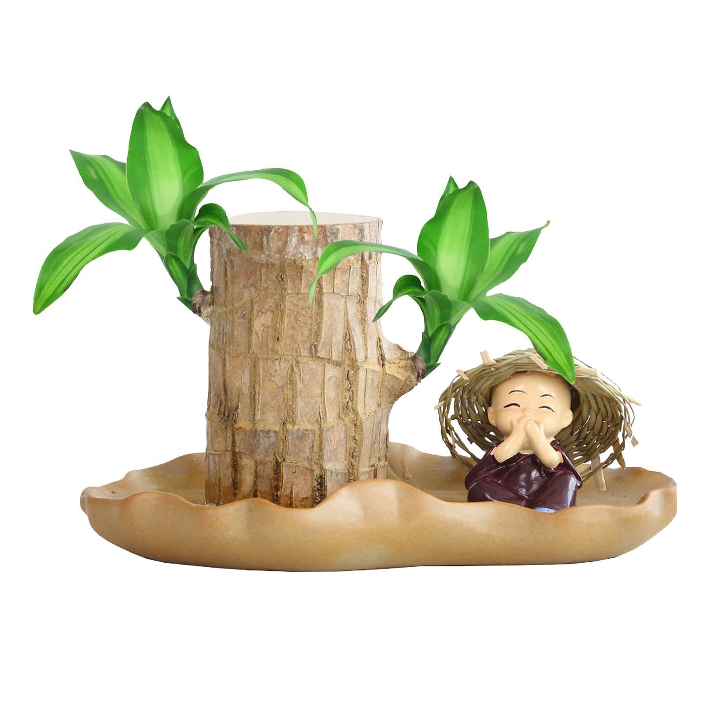 Brazilian Wood Plant, Brazilian Lucky Wood Plant with Pot, Brazilian Wood Hydroponic Plant for Purifying Indoor Air, Brazilian Wood Tree Stump, Brazil Lucky Wood Plant for Indoor Offic-e Desktop Decor
