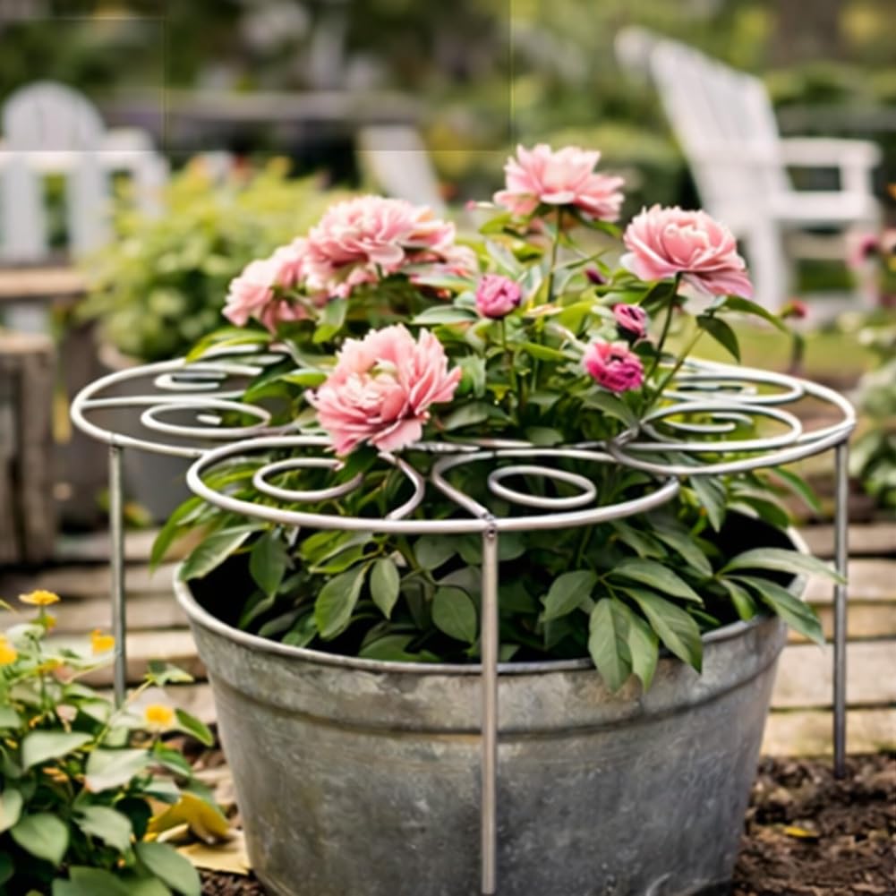 Metal Plant Support Ring for Garden, Peony Cage Stand, Indoor Pots, Flower Hoop, Decorative Grow Through Rings, Stackable Houseplant Stake, Dahlia Cage, Outdoor Orchid Clip(2PCS,Large)