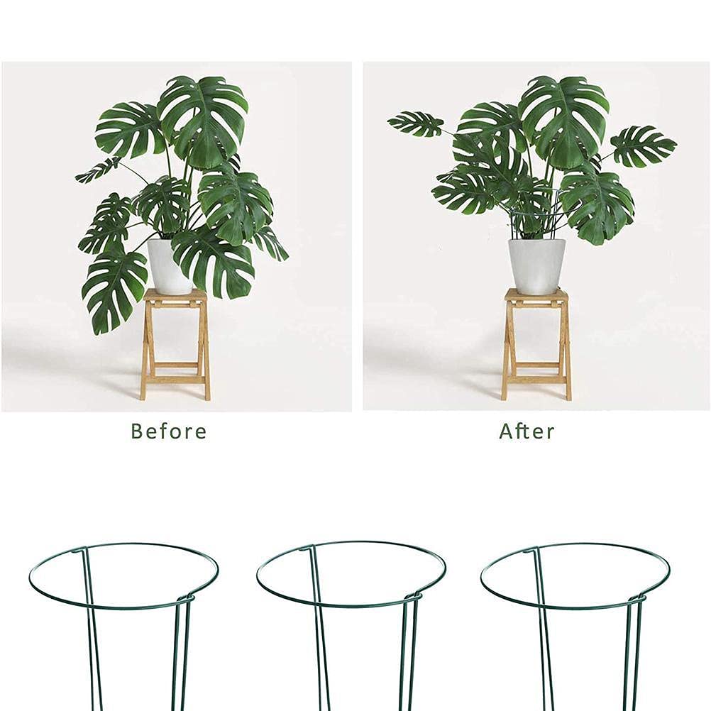 Nurnesy Metal Half Circle Garden Plant Support Stick with Locking Mechanism - Peony Cage for Tomatoes, Hydrangeas, Indoor and Outdoor Plants - Green Plant Support Edge (A), Nurnesyx7o5v8cu1y-08