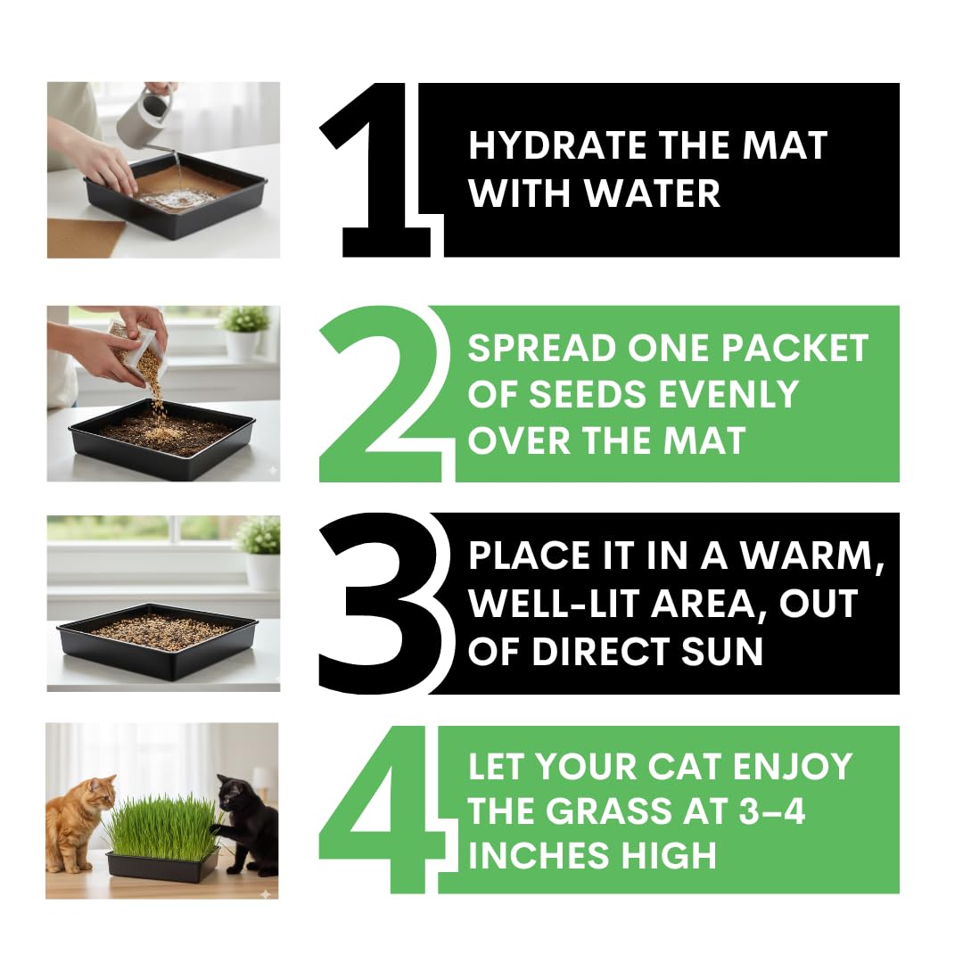 Cat Grass Growing Kit - Gift for Cat Owners & Pet Lovers - Organic Seed, Jute Grow Mats, 10 x 10 Container - Great for Indoor/Outdoor Pets - Pet Grass - Complete Set - No Tools Required