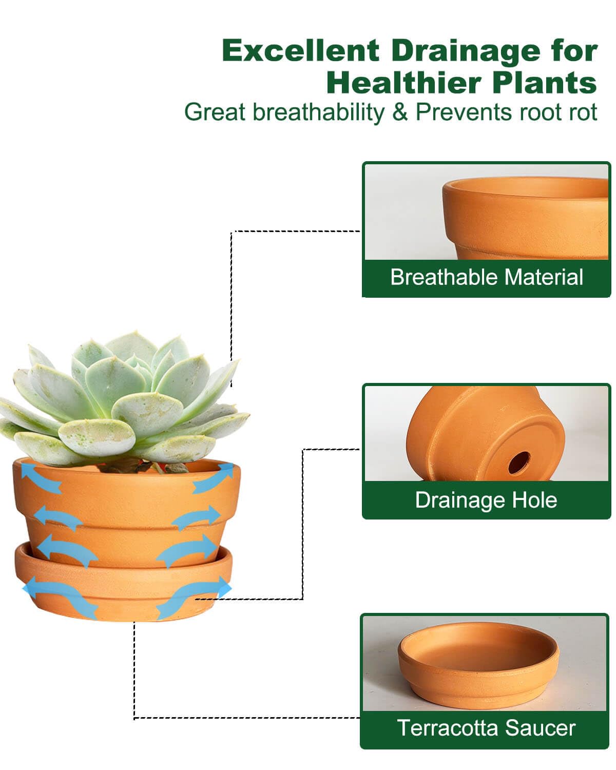 5.1 Inch Shallow Terracotta Plant Pots - 6 Pack Medium Clay Flowerpot with Drainage Hole, Terra Cotta Succulent Pot for Indoor Outdoor Plants