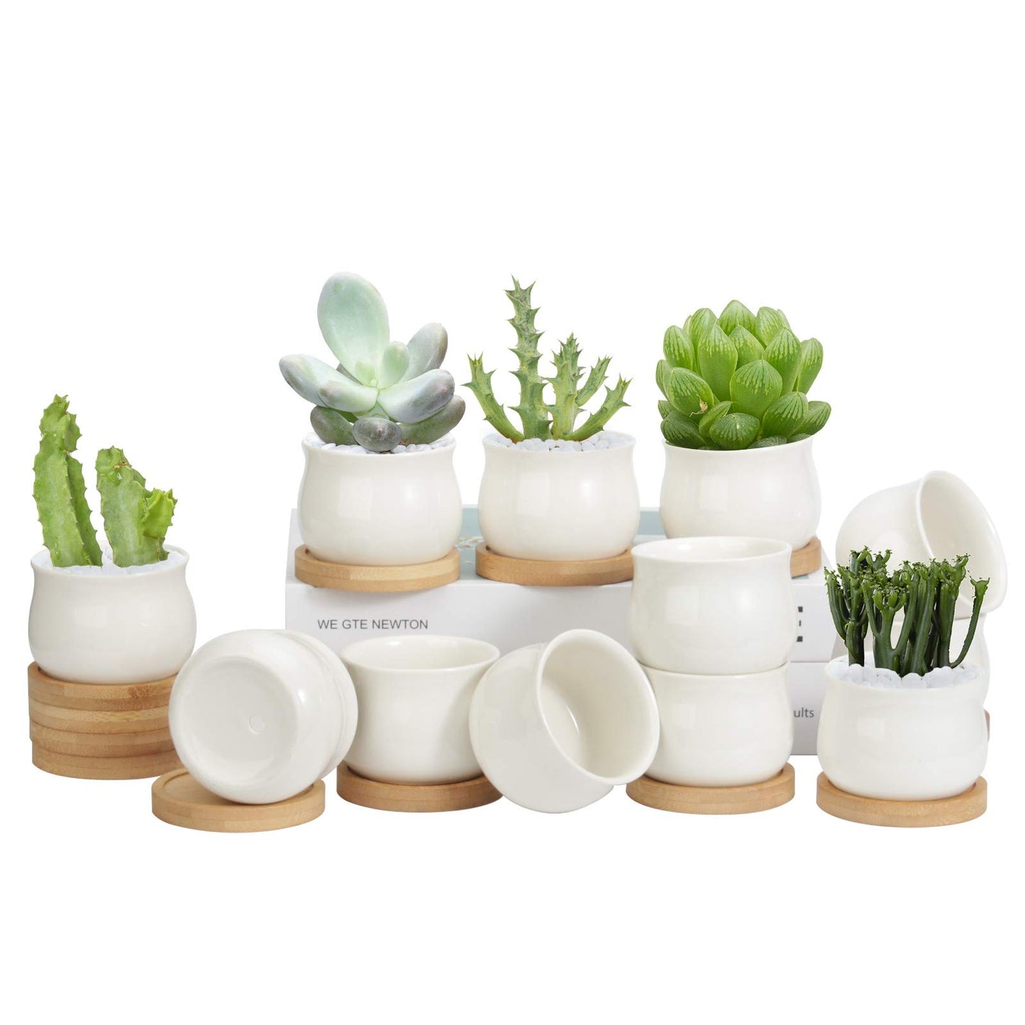 ZOUTOG 12 Pack Succulent Pots, 2.5 Inch White Mini Ceramic Planters with Drainage Hole, 2.5 inch Square Pattern Ceramic Planters, Plants Not Included
