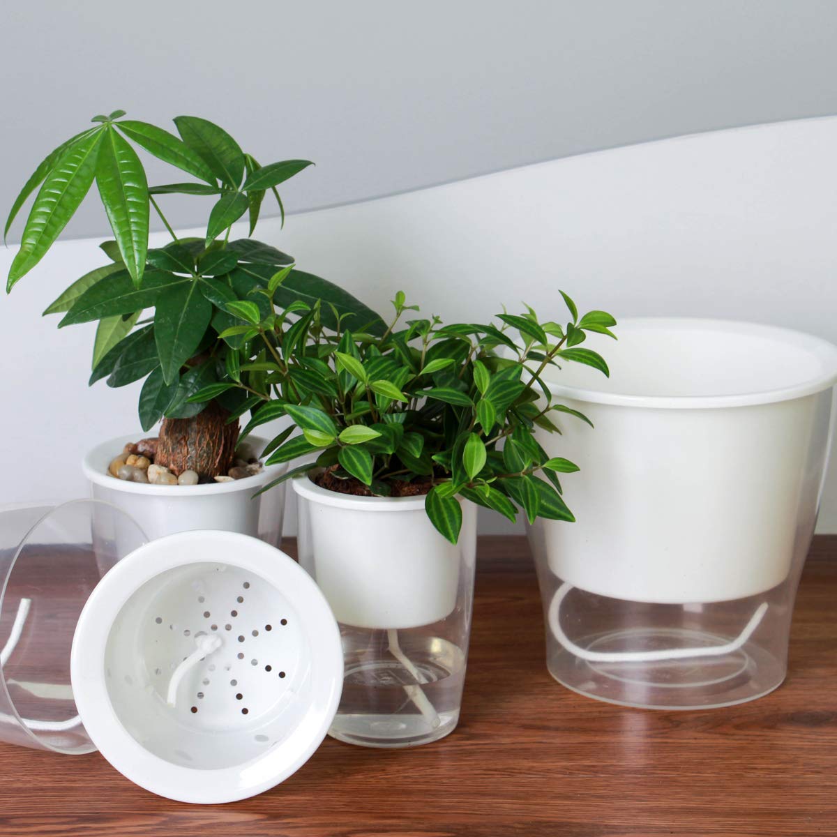 DEELF OUTLET 8-Pack 5.1 Inches Clear Self-Watering Planters Medium African Violet Pots Plastic Wick Flower Plant Pots for Indoor Plants, Spider Plant, Orchid Pot, Clear and White