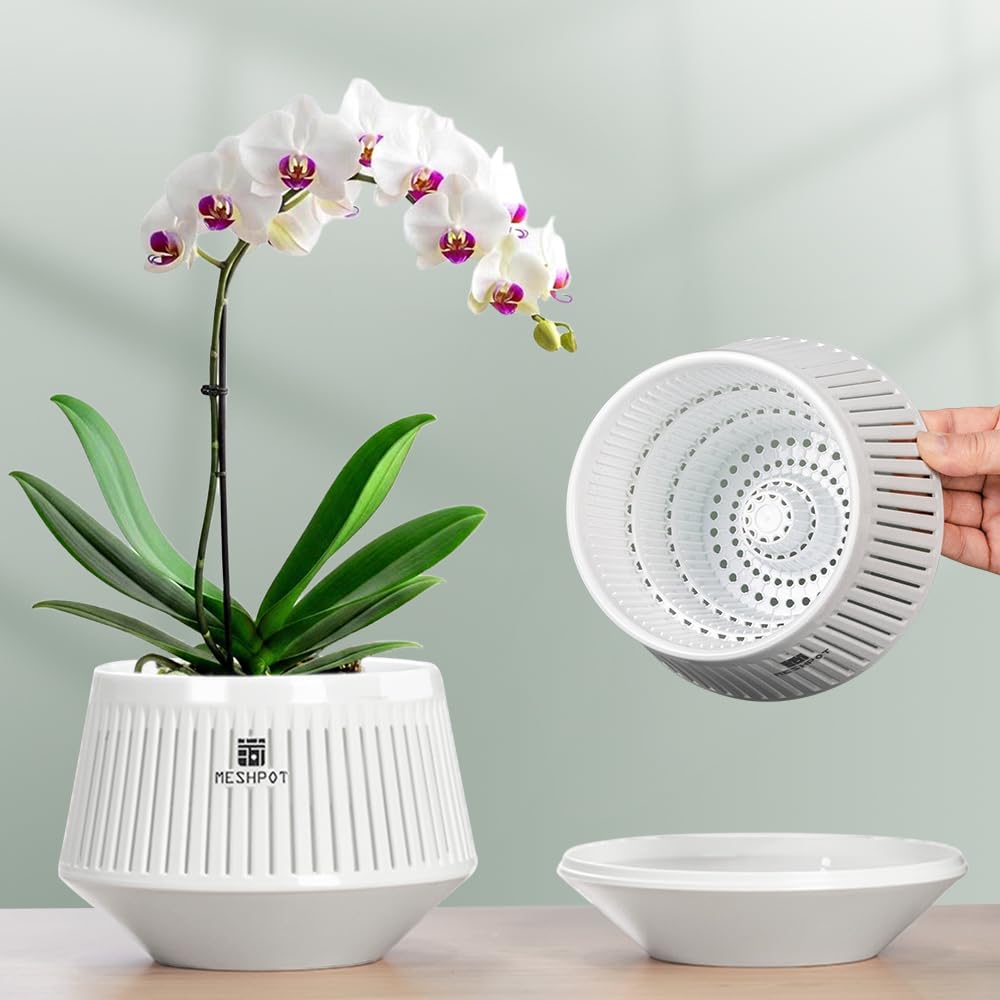 Meshpot 5 inch Orchid Pots with Holes for Repotting,Set of 3,Decorative African Violet Pots with Air-Pruning and Good Air Circulation,Plastic White Orchid Planter with Saucers