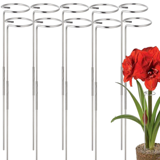30 or 16 Inch Plant Stakes for Flowers - 10 Pcs, Stainless Steel Garden Tall Single Stem Support Stake Plant Cage Support Rings for Amaryllis Tomatoes Peony Lily Rose Narcissus (10, 1.6, Pounds)