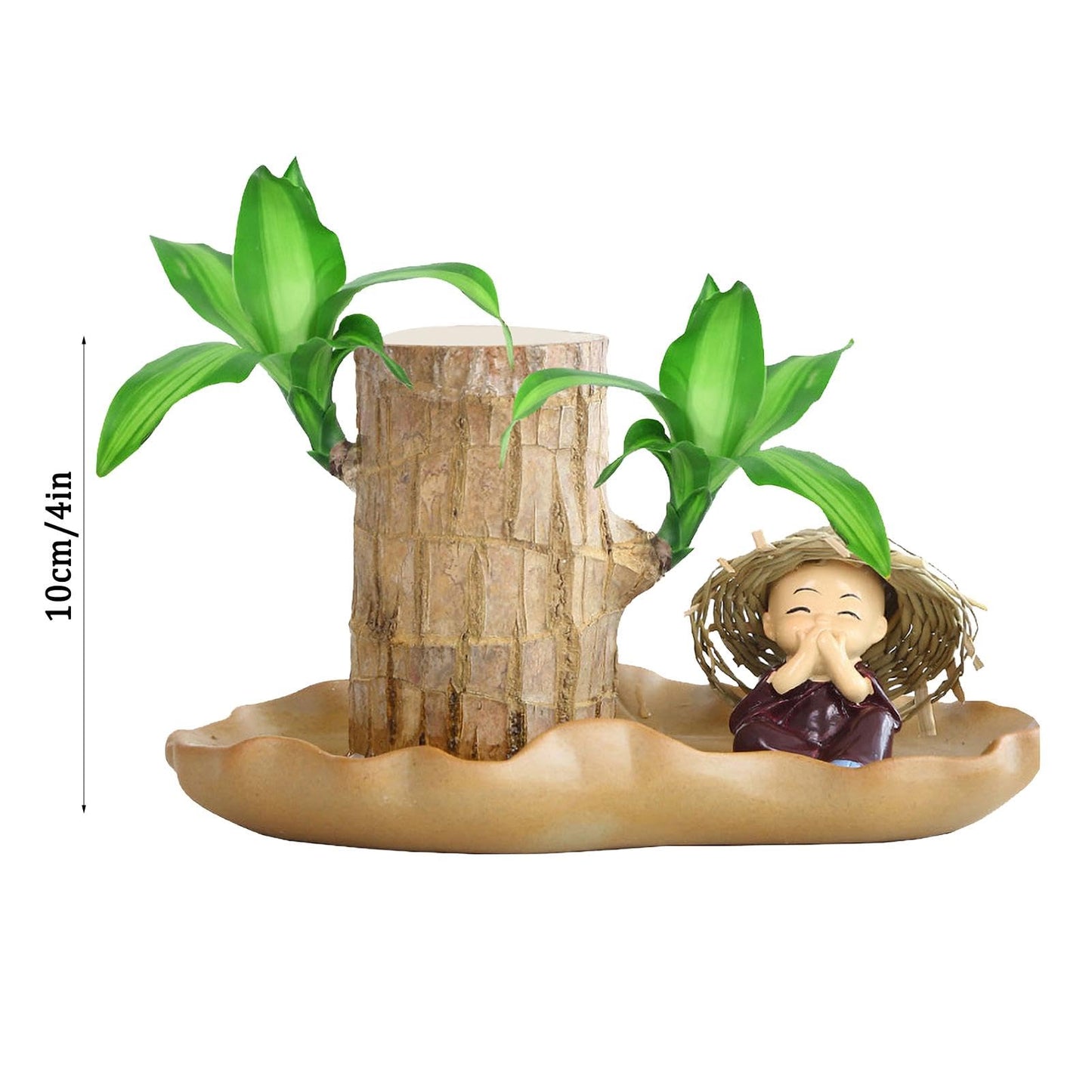 Brazilian Wood Plant, Brazilian Lucky Wood Plant with Pot, Brazilian Wood Hydroponic Plant for Purifying Indoor Air, Brazilian Wood Tree Stump, Brazil Lucky Wood Plant for Indoor Offic-e Desktop Decor