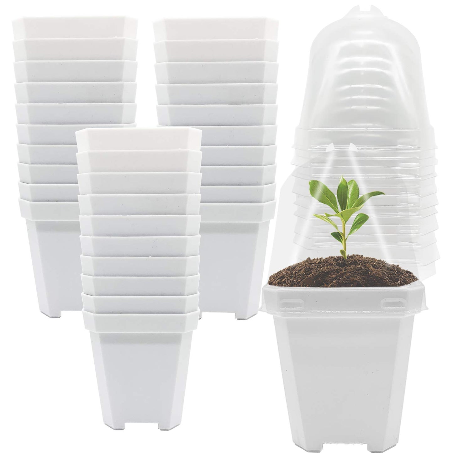 PURPLE STAR 1N 30 Packs Plant Nursery Pots with Humidity Dome, Small Gardening Pots, Square Planting Containers Cups for Succulents Seedlings Cuttings Transplanting
