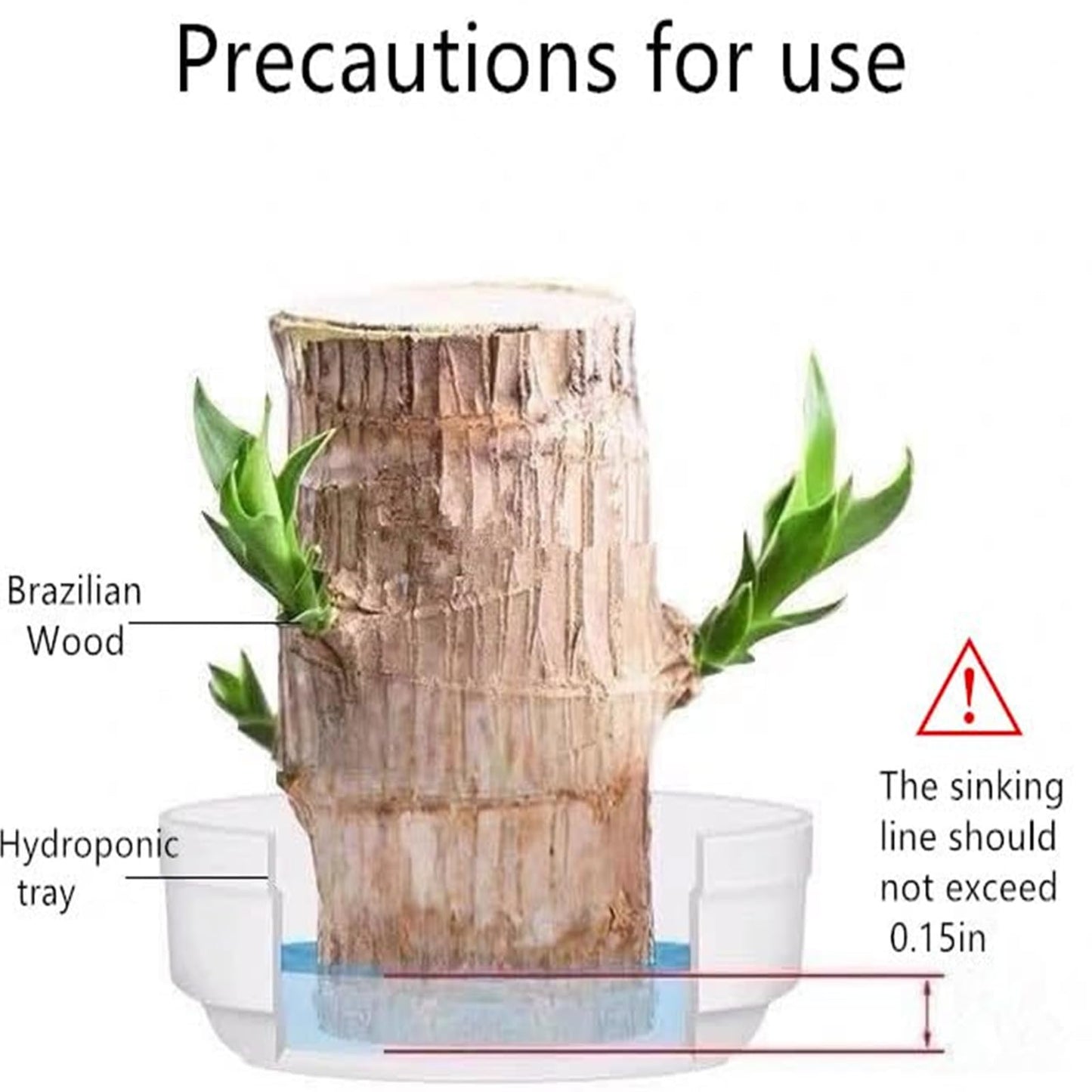 Brazilian Lucky Wood Plant,Brazilian Wood Doesn't Need to Wait to Sprout, Natural Air Cleaner, Suitable for Home Office Desk Decor (Panda)