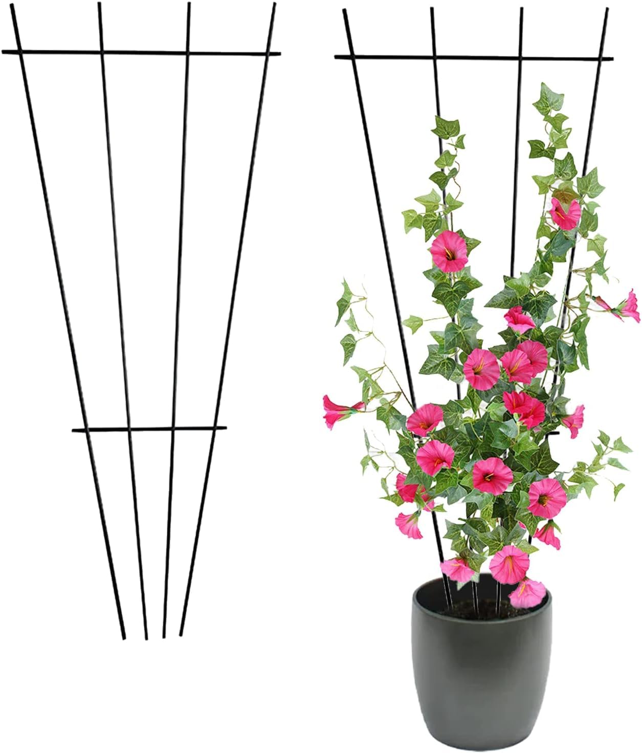 2Pcs Plant Trellis for Climbing Plants Indoor, Green Coated Fan Pot Trellis Metal Flower Support Garden Trellis Frames for Indoor Outdoor Vines Flower Vegetable