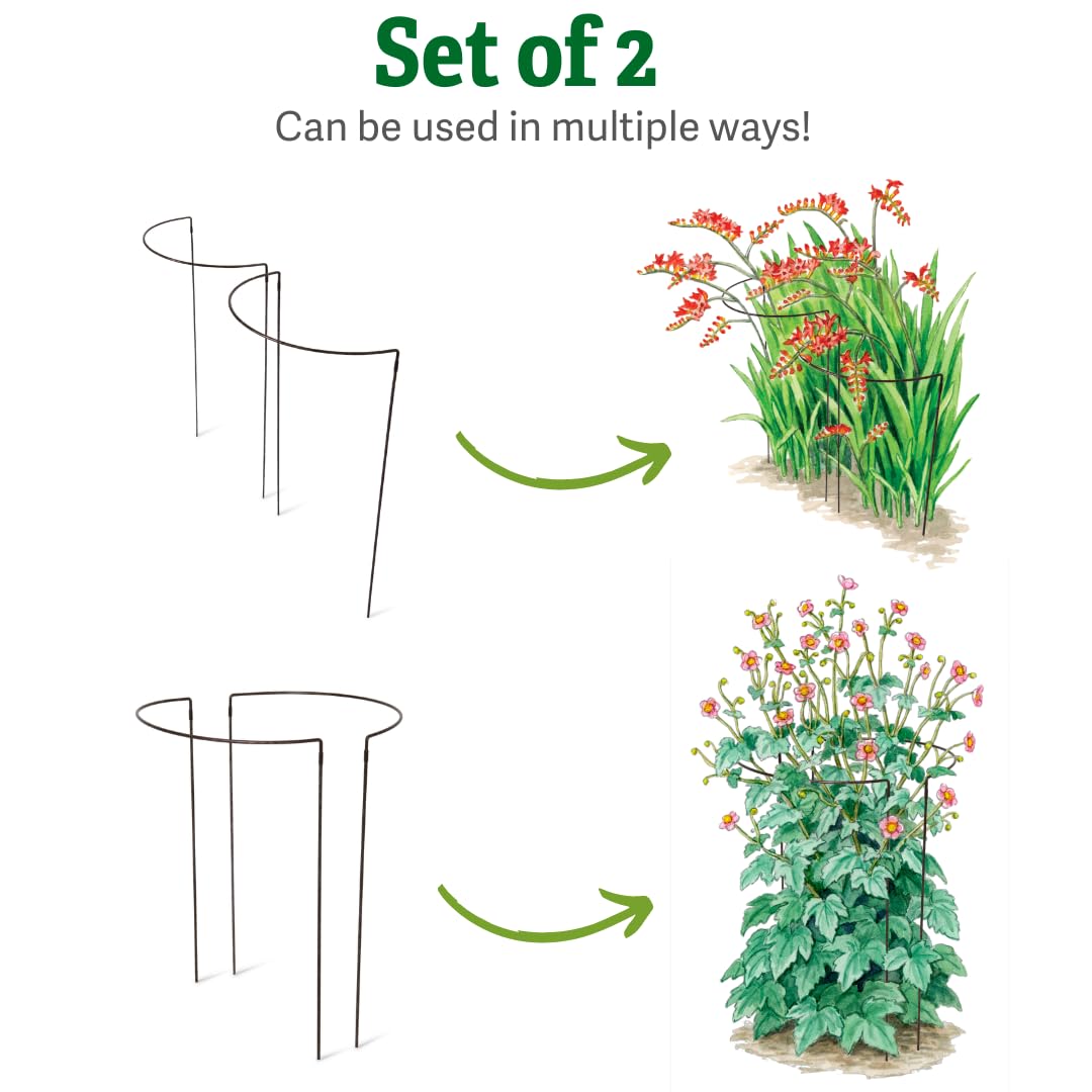 Gardener's Supply Company | 18" x 29" Jardin Half-Round Supports (Set of 2) | Half-Round Plant Supports Prevent Flopping Flowers | Weatherproof Powder-Coated Steel