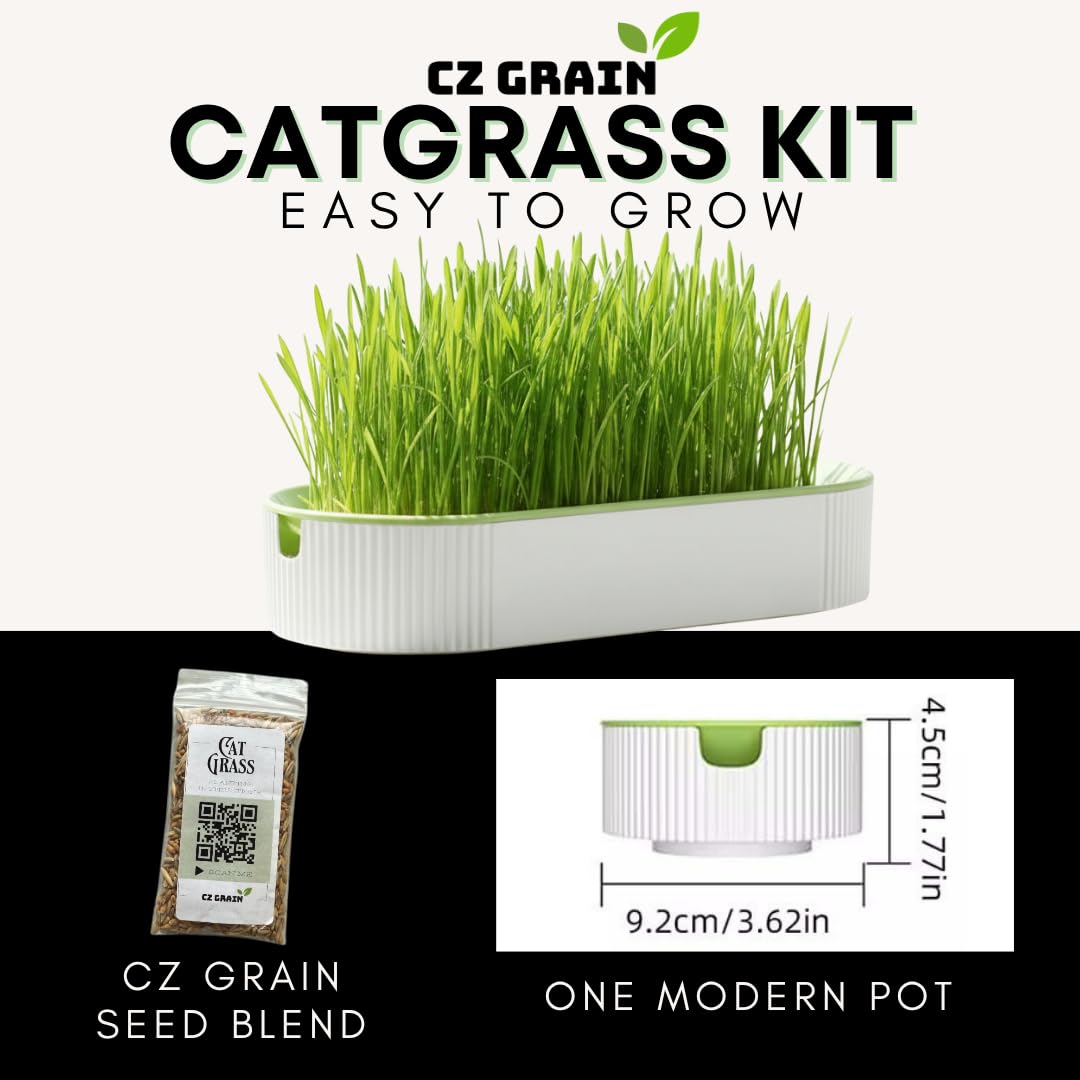 Hydroponic Cat Grass Grow Kit for Indoor Cats - Cat Lover Gift - New Pet Present - Grow Container and 2 Oz Cat Grass Non-GMO Seeds - No Soil or Tools Needed - Modern Look - Loved by Pets