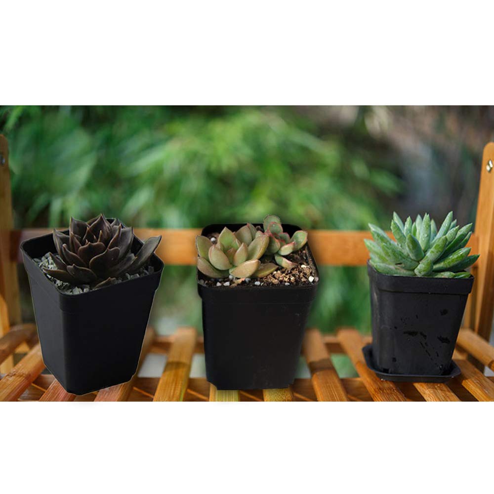 OJYUDD 24 Pack 3 Inch Black Nursery Pot Flower Pots Square Plastic Plant Pot Plastic Starter Pots with Saucer Basket Indoor Outdoor for Your Room,Garden Office and Balcony Decor