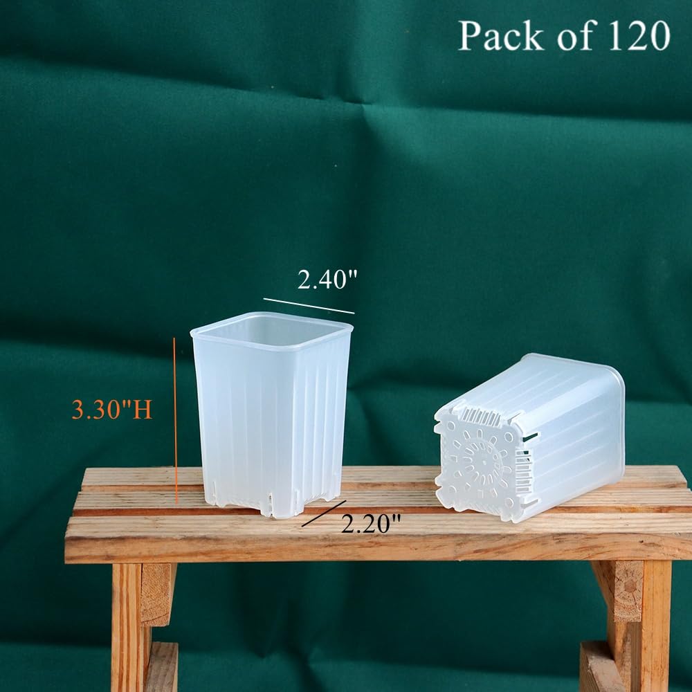 BangQiao 120 Pack 2.40 Inch Small Clear Plastic Square Nursery and Seedling Pot, Deep Transplant Seed Starter Planter with Drain Hole for Germination, Herb, Succulent