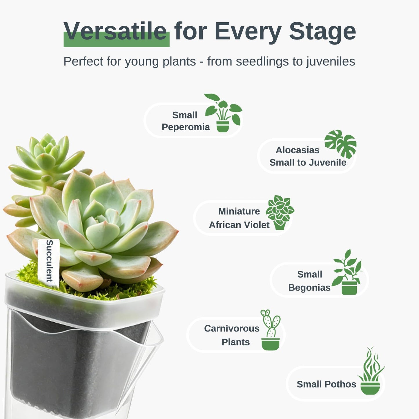 Poutilor 2.5 Inch Self Watering Pots, Clear Nursery Pots with Drainage Holes & Visible Water Level, 12 Pack Seed Starter Pots for Seedlings, Cuttings, Succulents, Prevent Overwatering