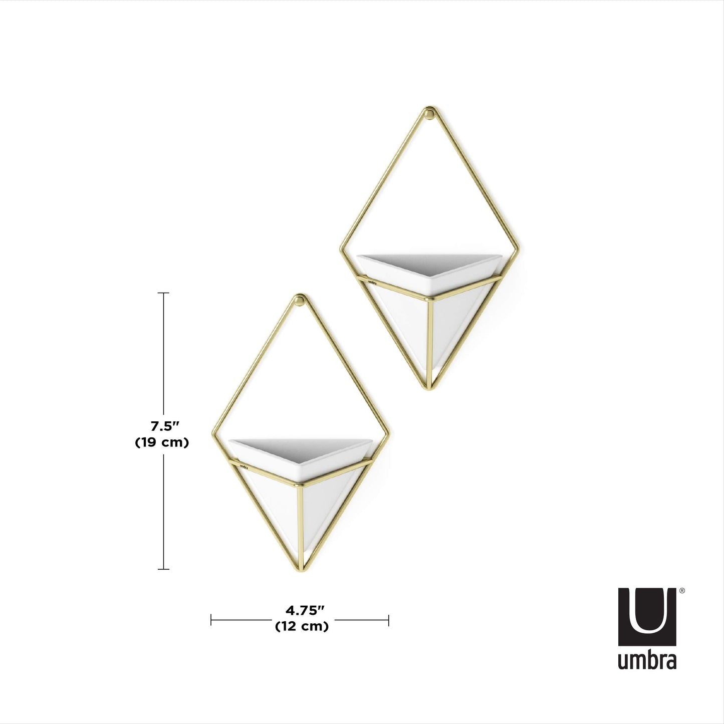 Umbra Trigg Hanging Planter Vase Wall Decor, Set of 2 Pots Containers for Succulents, Cactus, Faux Plants, and More, Small, White/Brass