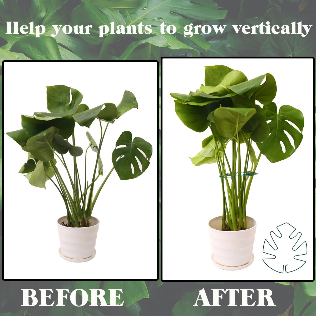 Spiritlele 5 Pcs Green Plant Stem Support Holder Set Monstera Plant Support Clamp Growth Accessories for Indoor Plants Big