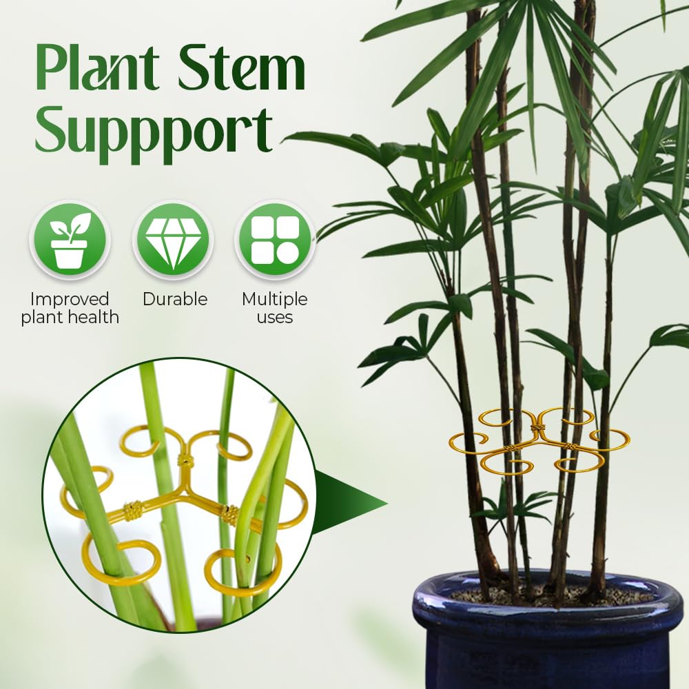 PETUPS Monstera Plant Support, 2025 Durable Monstera Stabilizer Grapple Holder, Stable Plant Support Stakes Garden Clips for Climbing Plants, Ideal Plant Stem Holder for Thriving Growth (6PCS, #A)