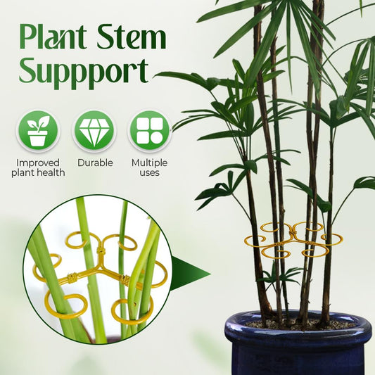 Monstera Plant Support Durable Stabilizer Grapple Holder,Plant Accessories Stable Plant Stem Support Stakes for Outdoor & Indoor Growing Climbing Plant Care Thriving Growth (3, Heart)