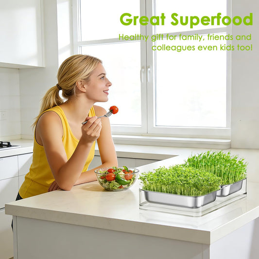 FANHAO Upgraded Visual Seed Sprouter Tray, Stainless Steel Soil-Free Cultivation Germination Tray with Acrylic Base, Healthy Microgreens Growing Kit for Indoors Sprouting Seeds, Grow Grass, Beans