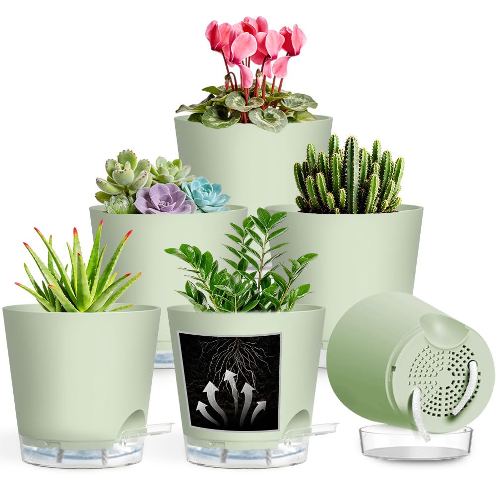 KEETUMOOD Self Watering Pots for Plants, 2026 New Flower Plant Pots with Drainage Holes, Wicking and Clear Reservoirs for Succulent, Aloe, Cacti and Others - 6 Pack (Green, 6")