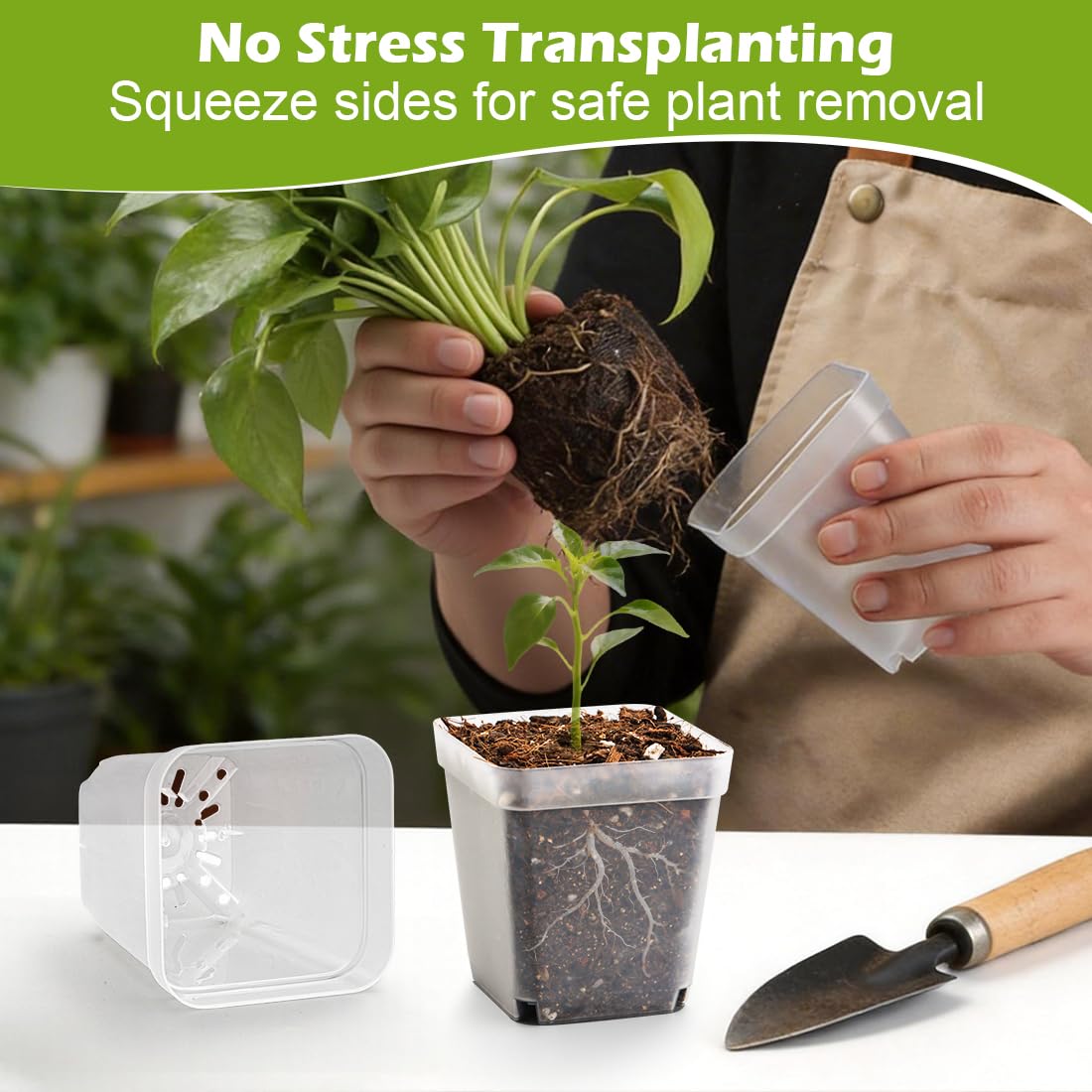 RooTrimmer 2.7 Inch Square Nursery Pots, 60 Packs Clear Seedling Pots with Drainage Holes, Reusable Propagation Pots Small Plant Container for Indoor Outdoor Gardening