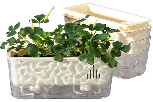 Qimodo 3 Pack Self Watering Rectangular Plant Pots, 11" x 5"x 5" Plant Containers with Drainage Holes, Rectangle Houseplant Window Planters for Succulents, Flowers,Herbs,Vegetables (Off-White)