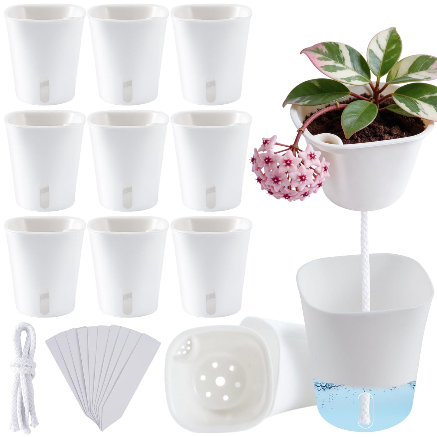 Sileasncei 10 Pack Self Watering Planters for Indoor Plants, 3 Inch White Plastic Flower Pots for Succulents, Herbs, and African Violets Self-Watering System for Low Maintenance Gardening