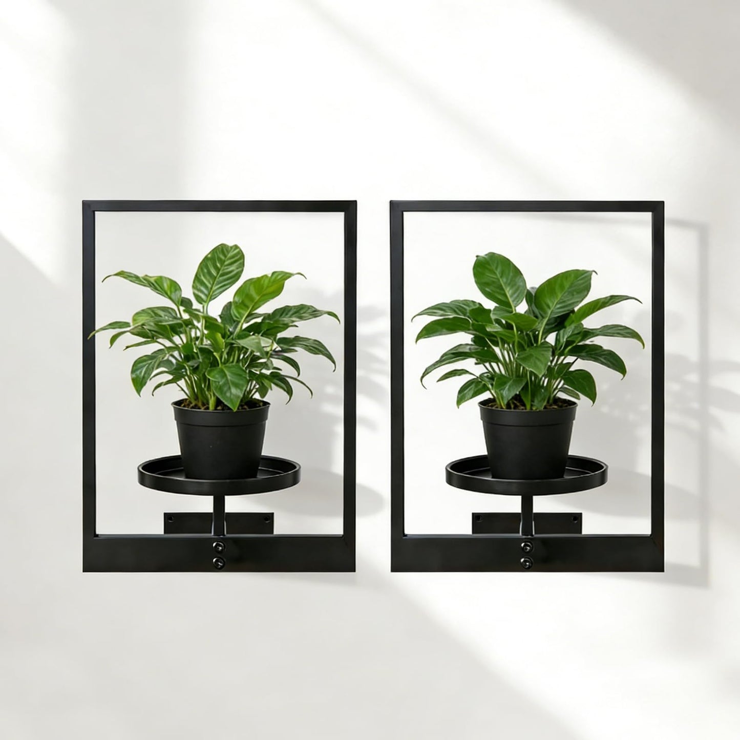 mekpiwu 3 Pack Picture Frame Wall Planters, Hanging Plant Shelves for Indoor Plants, Decorative Plant Stand & Hanger for Living Room, Window, Entryway & Outdoor Use, Gold