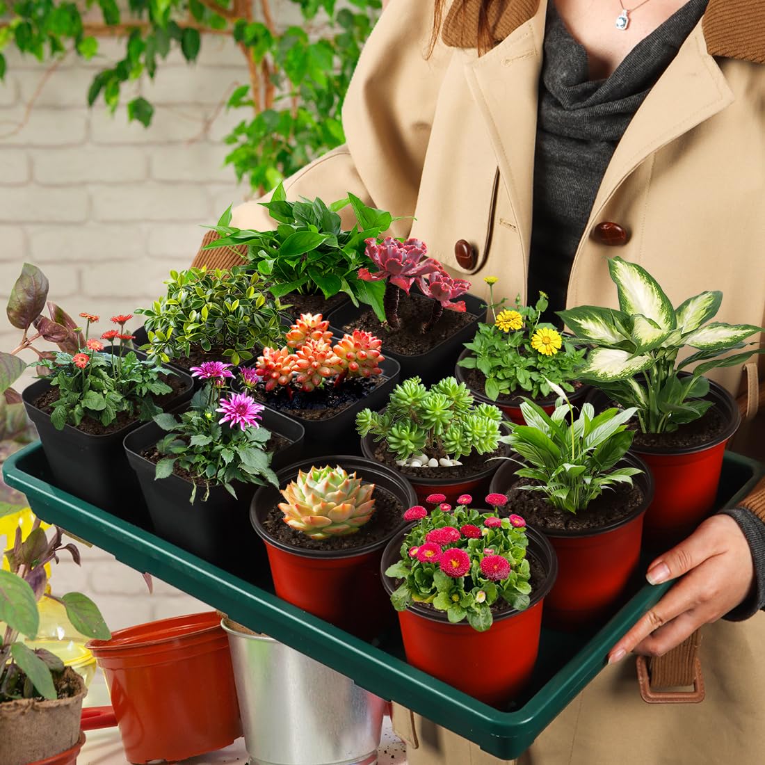 RooTrimmer 5 Pack Seed Starter Trays (17"x11"x2"), Plastic Flat Nursery Pots Trays, Durable Carrying Seedling Starter Tray, Reusable Tray for Planting and Collecting Drainage Water (Green)