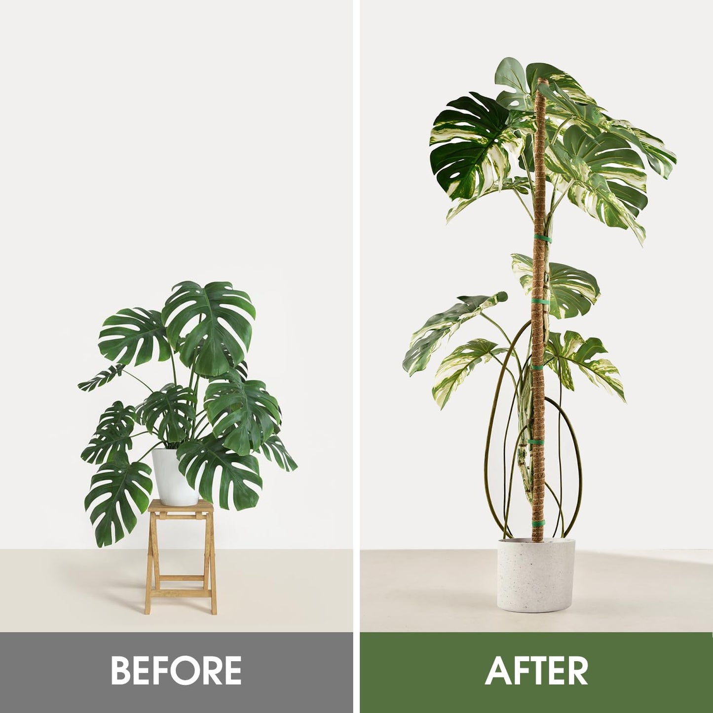 2 Pack Moss Pole, 48 Inch Bendable Moss Poles for Plants Monstera for Climbing Plants, Handmade Coco Coir Pole Plant Sticks Support Stakes for Indoor Plants to Grow Upwards