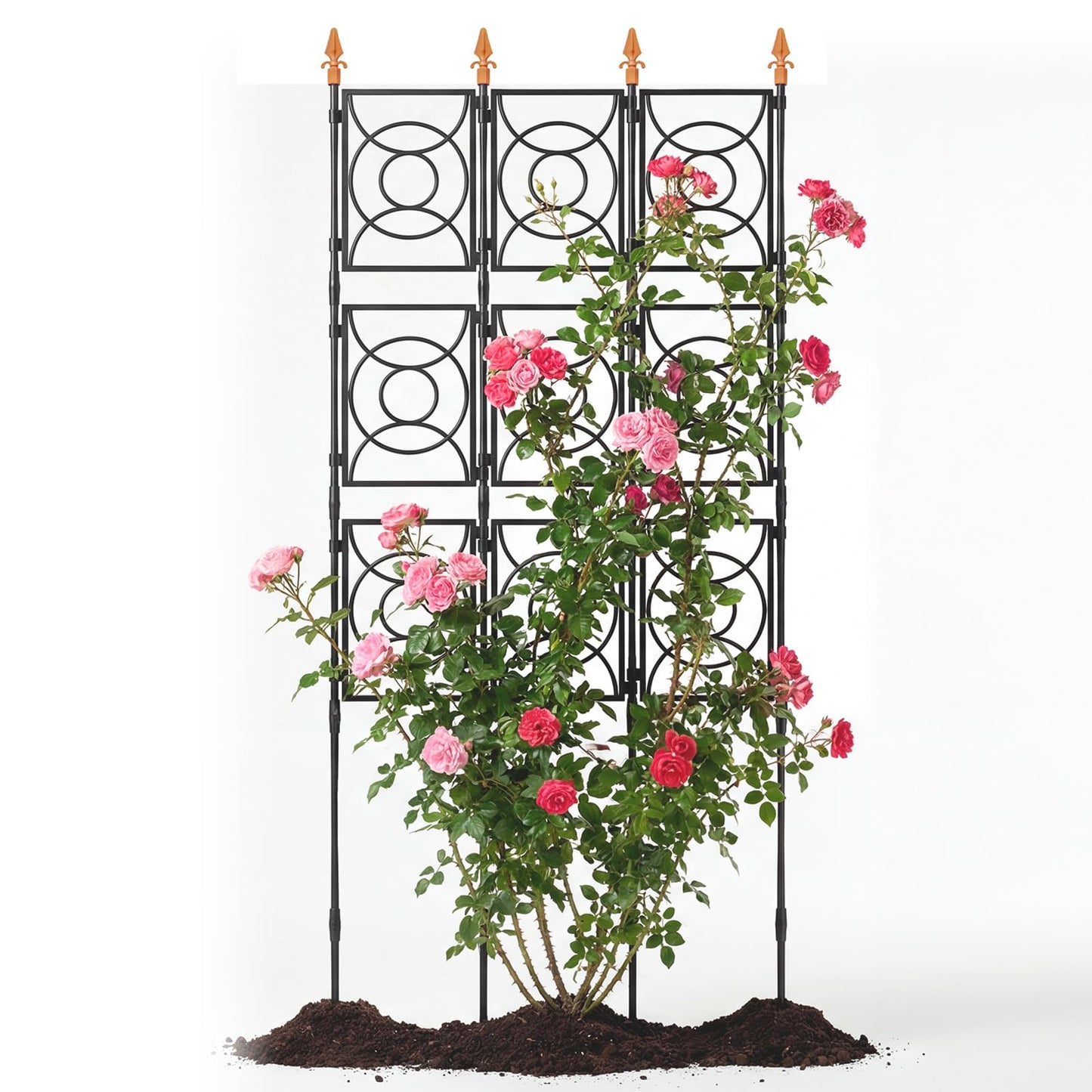 Trellis for Climbing Plants Outdoor, 24 Rifny Tall Garden Trellis Flower Rose Cucumber Trellis for Vines Pea Support, Wall Large Plant Trellis Fence with with Plastic Frame, 3 x 6.2 FT