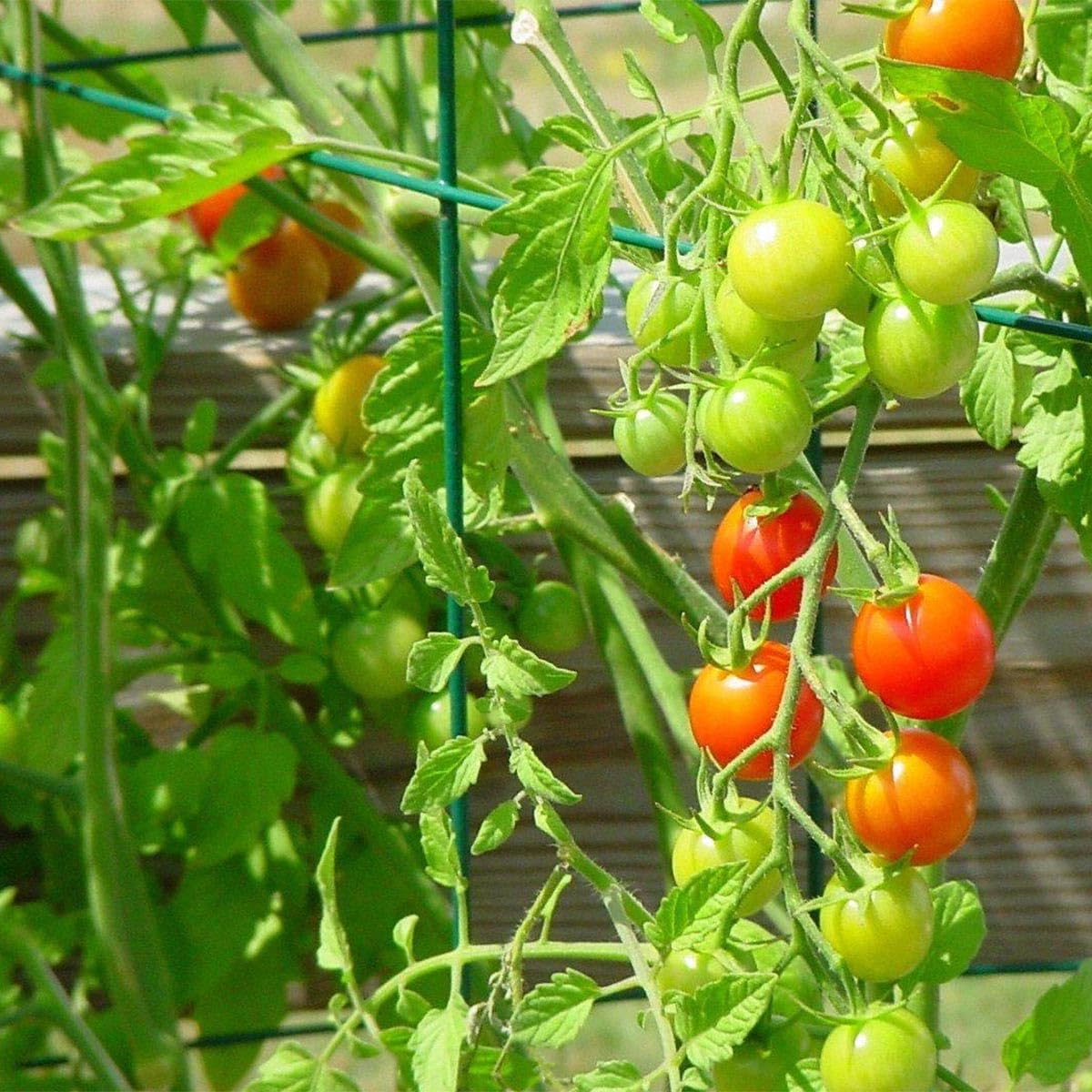 46" Height 12" Width 2PCS Green Square Folding Tomato Cage,Plant Support Stake Tower
