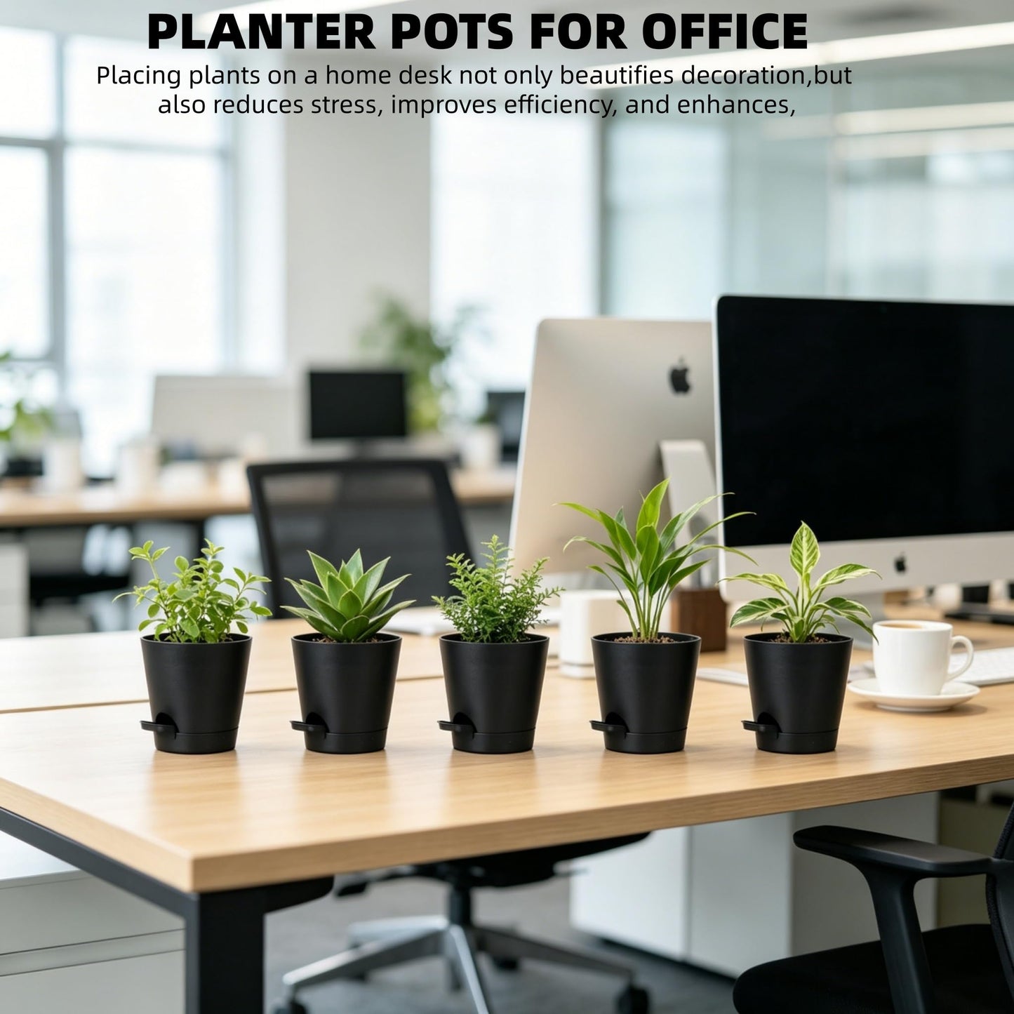 zople 12 Pack 4 Inch African Violet Pots Self Watering, Self-Watering Planters with Drainage Holes & Reservoir, Black Plastic Pots for Indoor Outdoor Plants, Succulents & Flowers