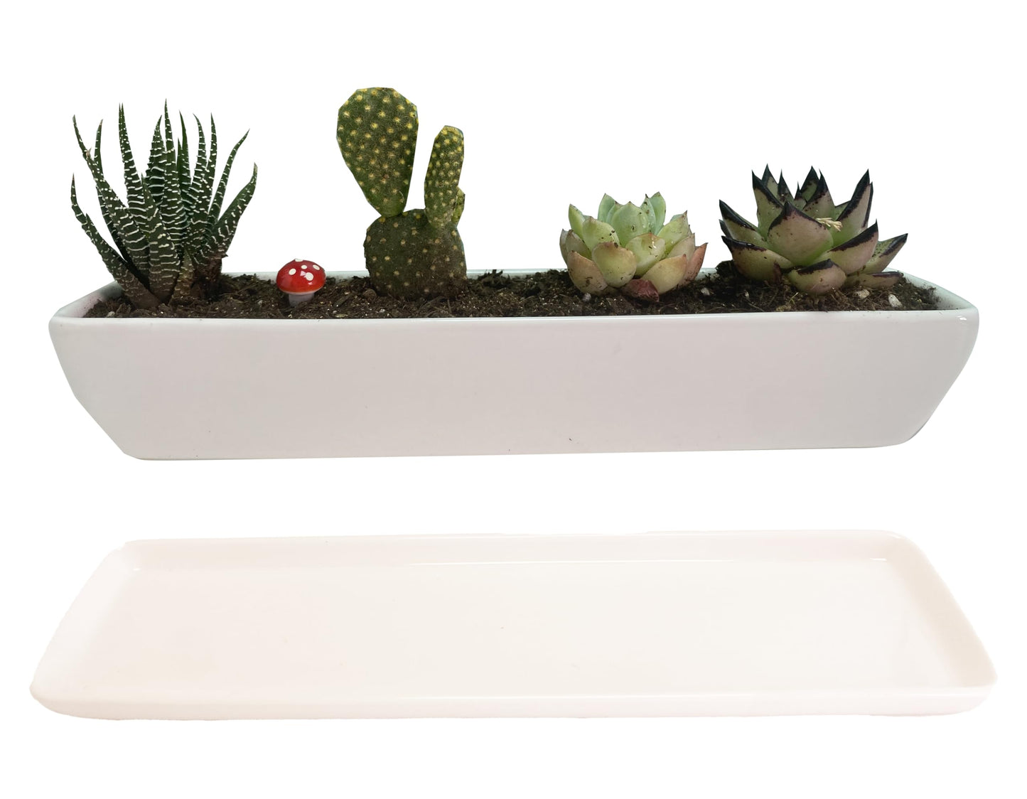 SWONVI 11.1 inch Long Rectangle White Ceramic Succulent Planter Pots with Ceramic Saucers/Mini Flower Plant Containers wPlant Window Boxes for Office/Home, (2 pcs Rectangle Pot)