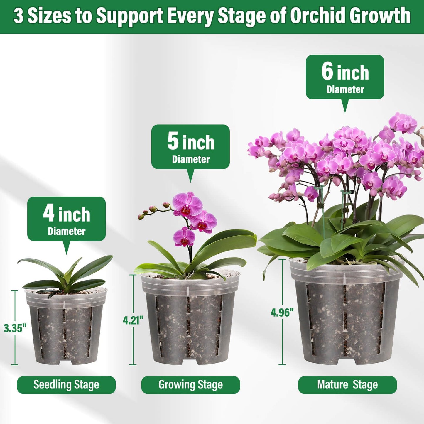 Tetutor 12 Pack Plastic Orchid Pots with Holes, 4, 5, 6 Inch Clear Orchid Pots for Repotting with Saucers Drainage and Plant Stakes, Large Small Breathable Orchids Planter Plant Pot