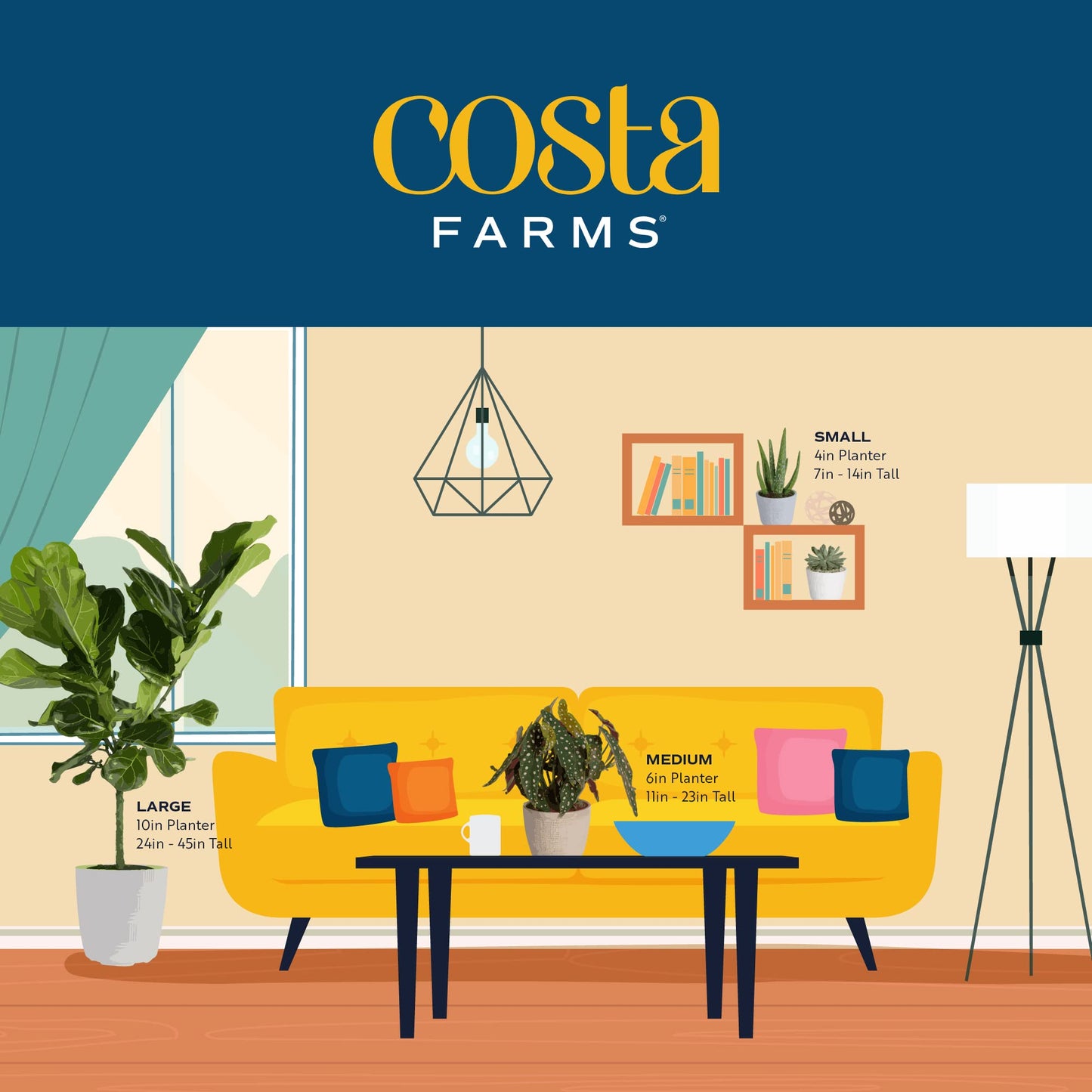 Costa Farms Snake Plant Live Indoor Houseplant in Self-Watering Decor Pot, 12-20 Inches Tall Medium Sansevieria, Low Light Easy Care Live Plant, Unique Housewarming Gift or Office Desk Decor