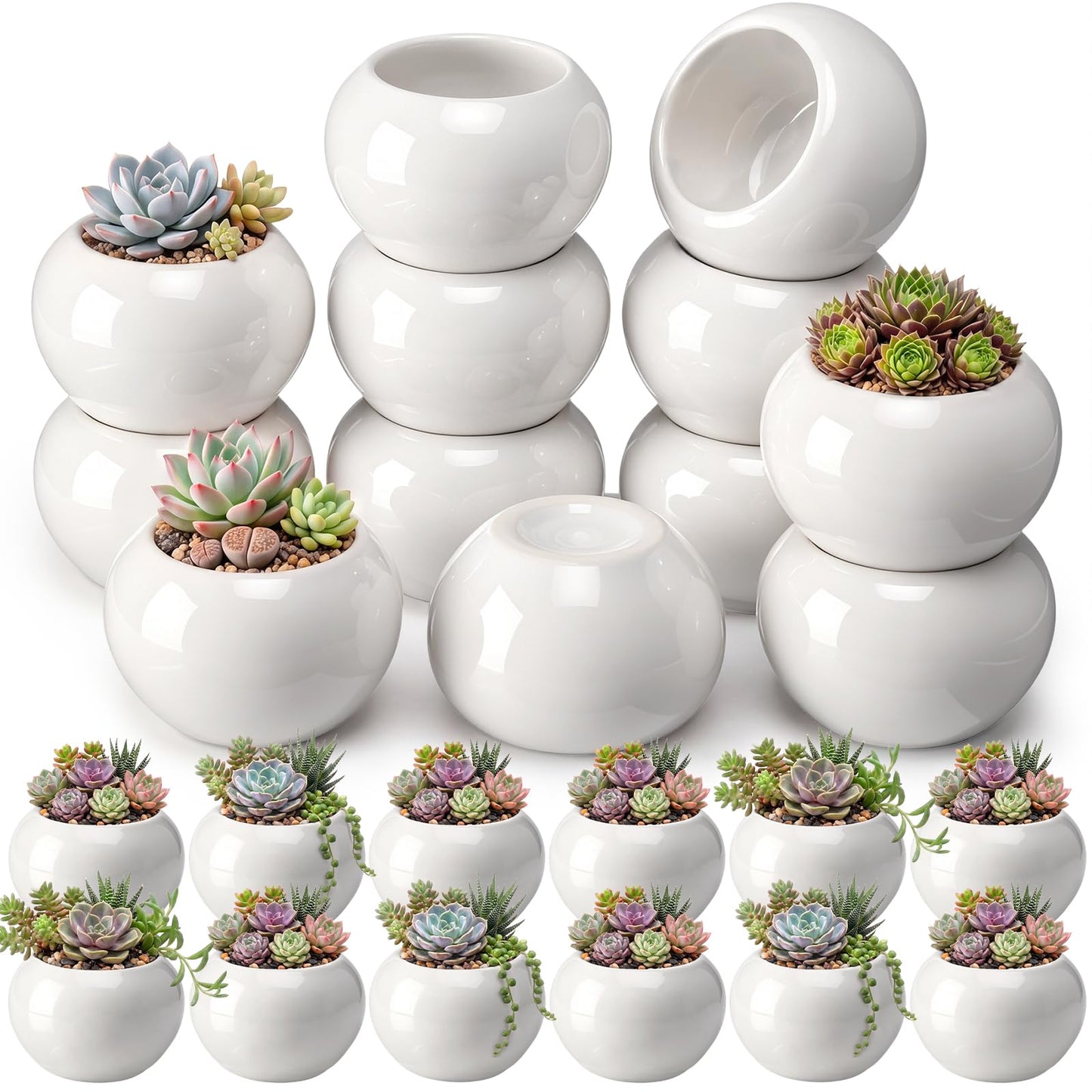 Acellegic 24 Pack 2.5 Inch Mini Succulent Plant Ceramic Pot with Drainage Hole, Small Pineapple Clay Garden Planter for Succulents, Cactus, DIY Easter Spring Craft Activity(White,Classic)