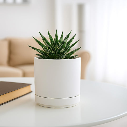 D'vine Dev Set of 2 Plants Pot, 4.7 Inch Ceramic Planter Pot for Plants with Drainage Hole and Saucer, White, 94-V-B-1