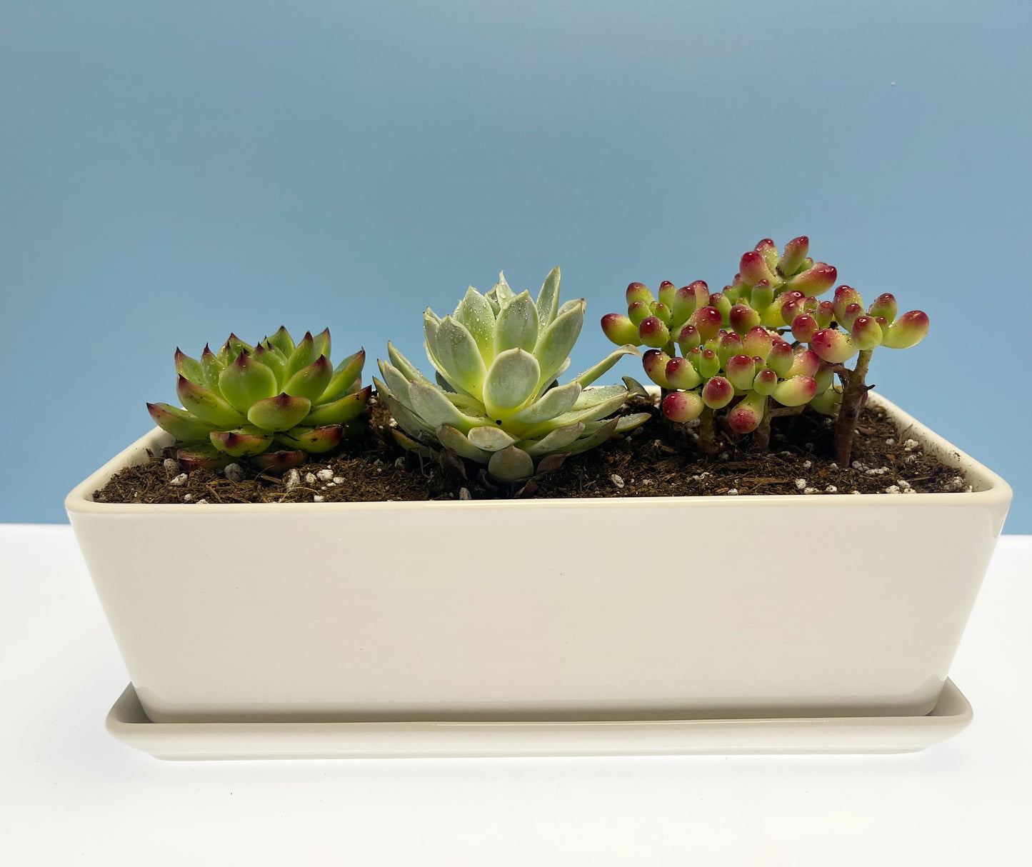 Kipokalor Rectangular White Ceramic Succulent Planter Pot,one Set of 10.19x4.64x3.22inch Modern Minimalist with Ceramic Saucer for Office,Desk,Window.