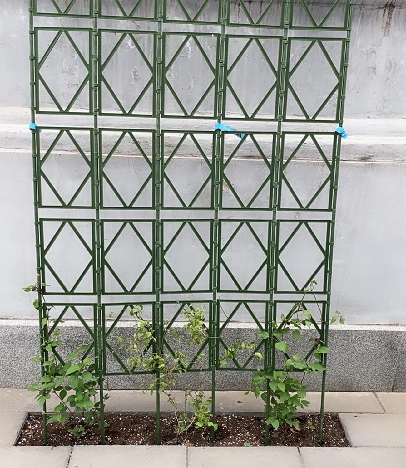 Green Garden Trellis, Metal Vines Plant Support, Decorative Lattice Flower Stand, for Climbing Plants, Flowers, Fruits, Retro Style (Size : 60x150cm/23.5x59in)